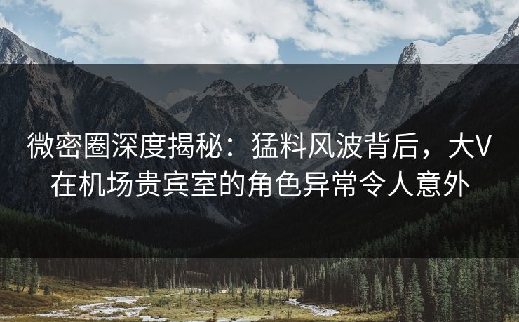微密圈深度揭秘：猛料风波背后，大V在机场贵宾室的角色异常令人意外