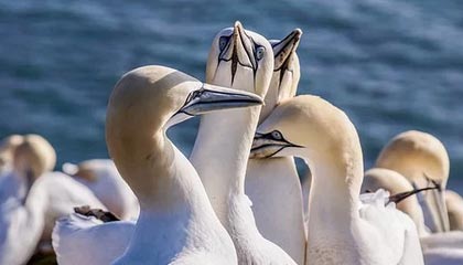 东北那旮瘩母与子，东北那旮瘩母与子阅读答案大全