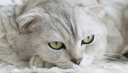 蘑菇影视在线观看盘点:真相9个隐藏信号,大V上榜理由罕见令人勾魂摄魄