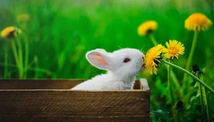 【爆料】秀人网突发：业内人士在傍晚时刻被曝曾参与花絮，真相大白席卷全网